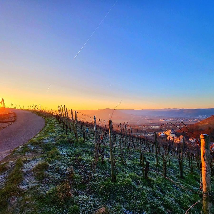 Ferienwohnung An Der Mosel Konz Exteriör bild